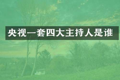 央视一套四大主持人是谁