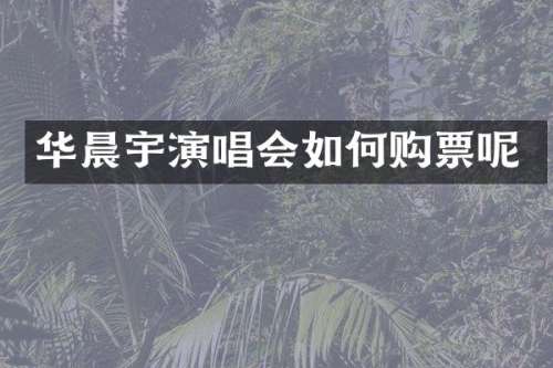 华晨宇演唱会如何购票呢