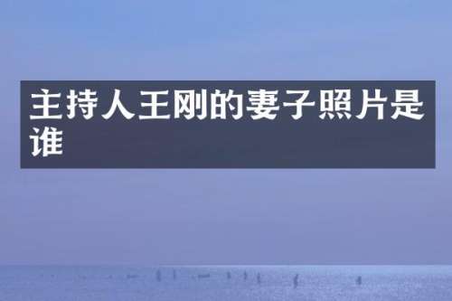 主持人的妻子照片是谁