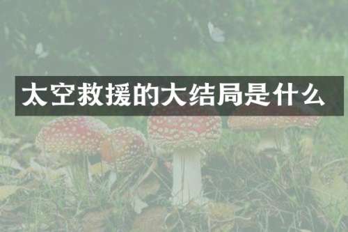 太空救援的大结局是什么