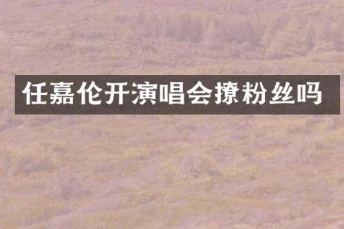 任嘉伦开演唱会撩粉丝吗