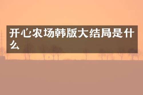 开心农场韩版大结局是什么