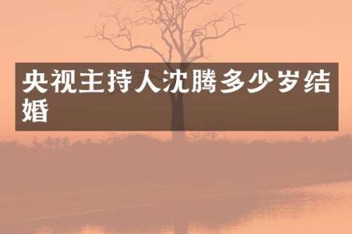 央视主持人沈腾结婚