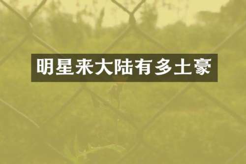 明星来大陆有多土豪