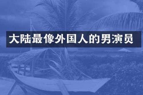 大陆最像外国人的男演员