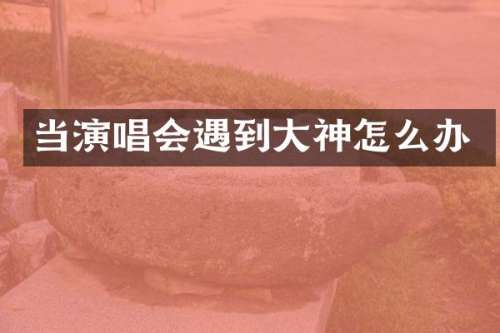 当演唱会遇到大神怎么办