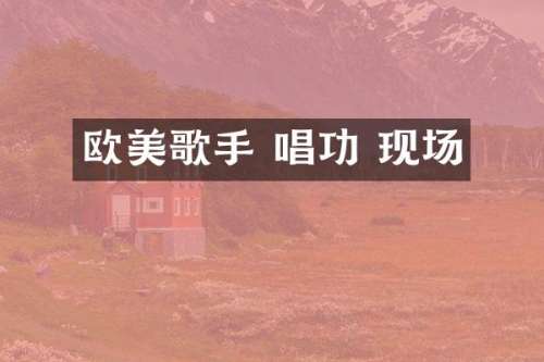 欧美歌手 唱功 现场