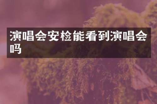 演唱会安检能看到演唱会吗