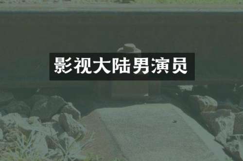 影视大陆男演员
