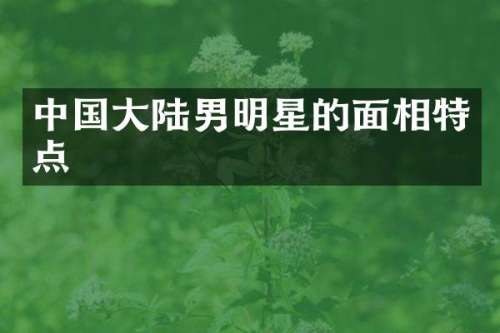 中国大陆男明星的面相特点