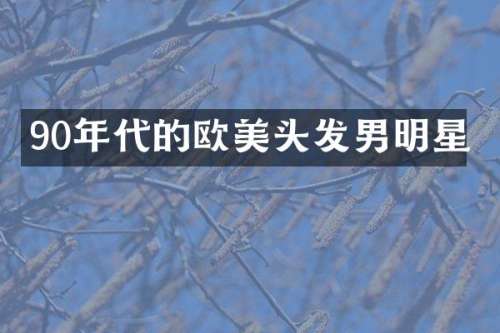 90年代的欧美头发男明星