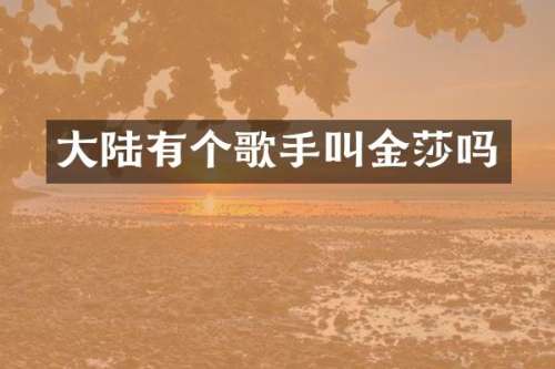 大陆有个歌手叫金莎吗
