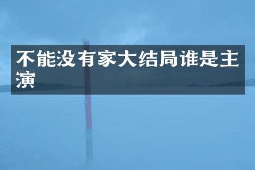 不能没有家大结局谁是主演