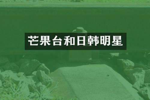 芒果台和日韩明星