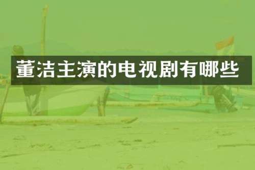 董洁主演的电视剧有哪些