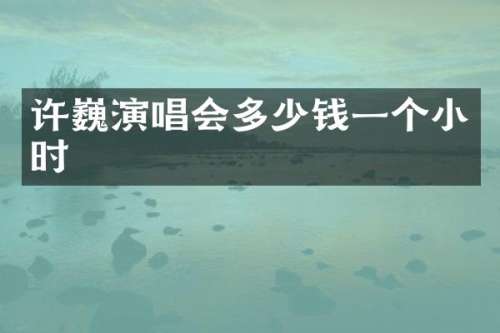 许巍演唱会多少钱一个小时