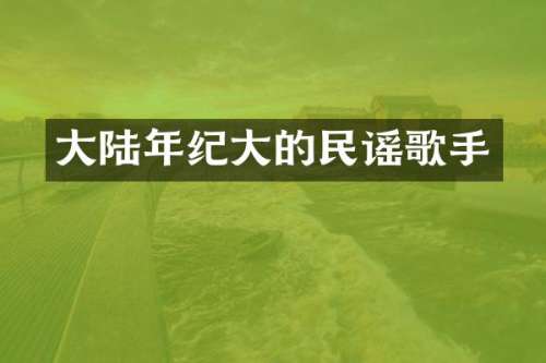 大陆年纪大的民谣歌手