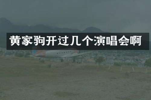 黄家驹开过几个演唱会啊