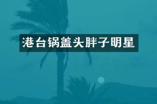 港台锅盖头胖子明星