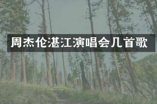周杰伦湛江演唱会几首歌
