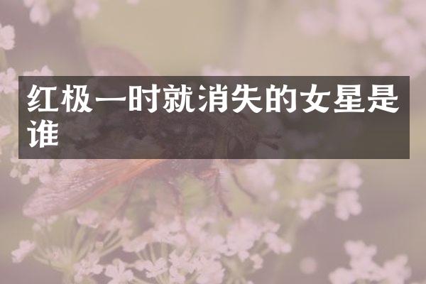 红极一时就消失的女星是谁