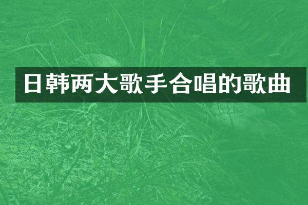 日韩两大歌手合唱的歌曲