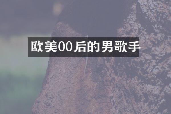 欧美00后的男歌手