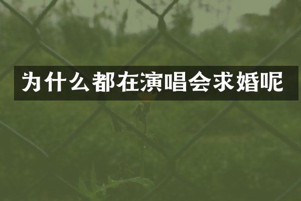 为什么都在演唱会求婚呢