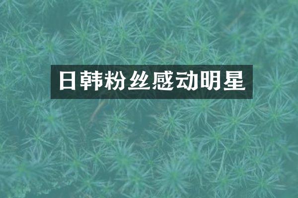 日韩粉丝感动明星