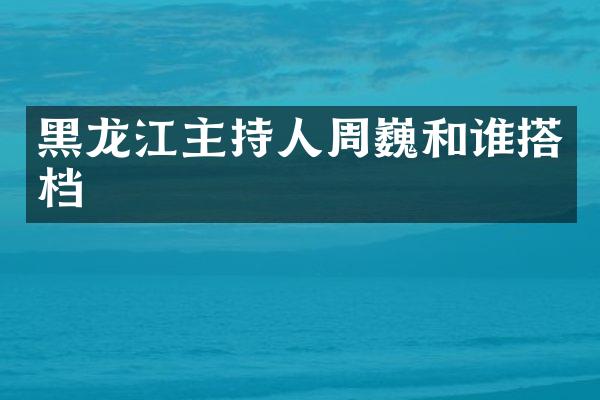 黑龙江主持人周巍和谁搭档