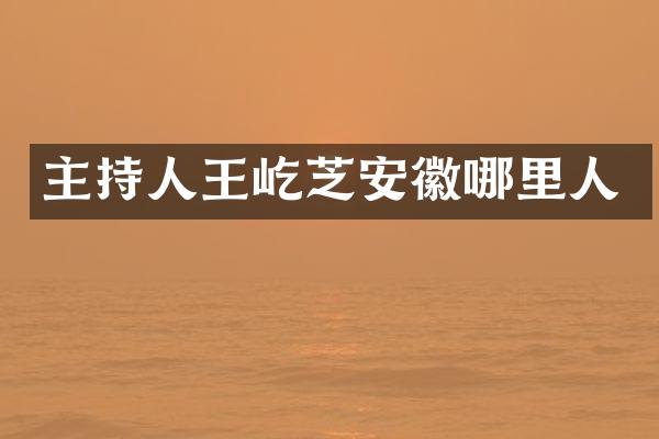 主持人王屹芝安徽哪里人