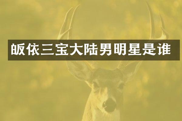 皈依三宝大陆男明星是谁
