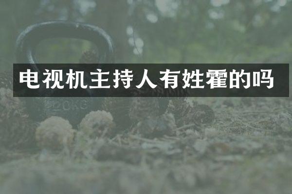 电视机主持人有姓霍的吗