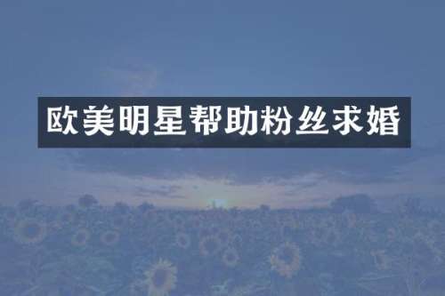 欧美明星帮助粉丝求婚