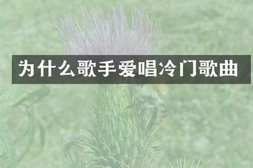 为什么歌手爱唱冷门歌曲