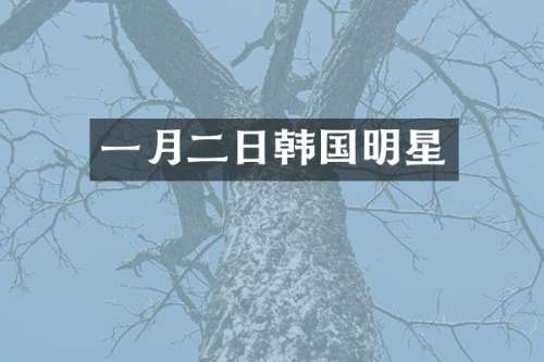 一月二日韩国明星