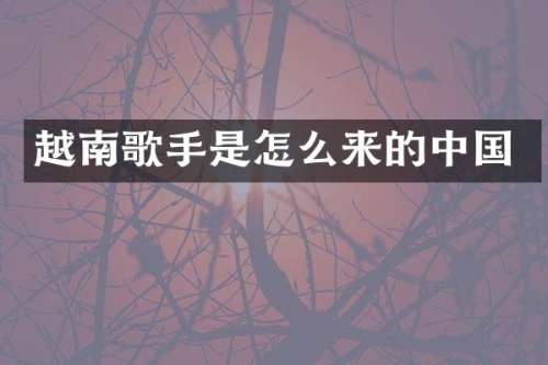 越南歌手是怎么来的中国