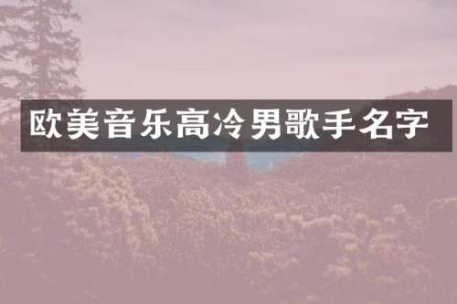 欧美音乐高冷男歌手名字