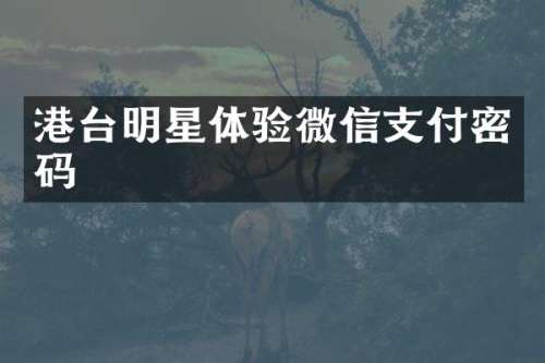 港台明星体验微信支付密码