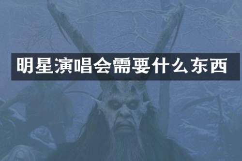 明星演唱会需要什么东西