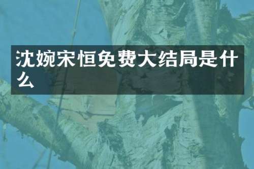 沈婉宋恒免费大结局是什么