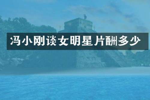 冯小刚谈女明星片酬多少