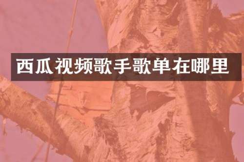 西瓜视频歌手歌单在哪里