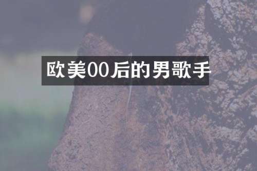 欧美00后的男歌手