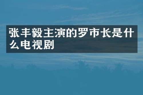 张丰毅主演的罗市长是什么电视剧
