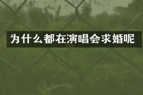 为什么都在演唱会求婚呢