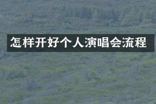 怎样开好个人演唱会流程