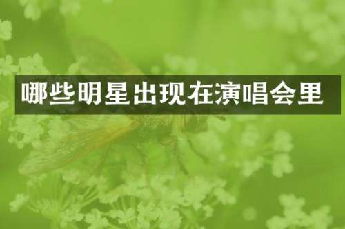 哪些明星出现在演唱会里