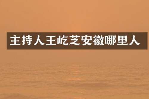 主持人王屹芝安徽哪里人