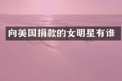 向美国捐款的女明星有谁